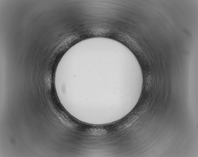 X0000111390644200908071256