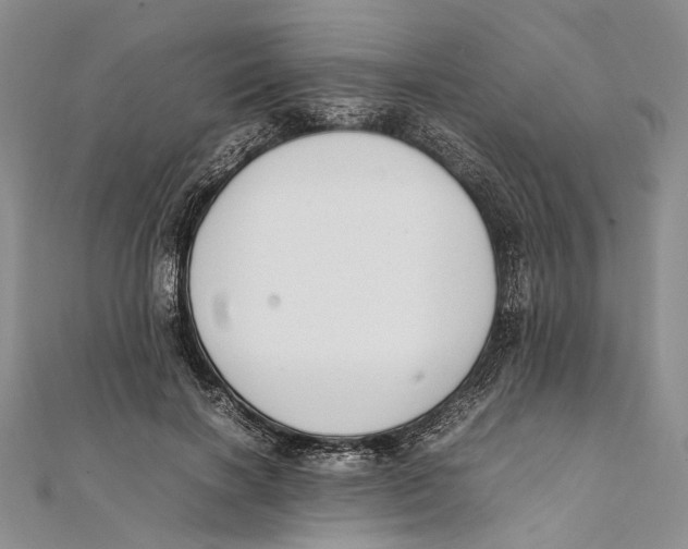 X0000111390646200908071256