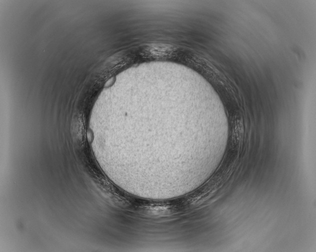 X0000111390651200908071257