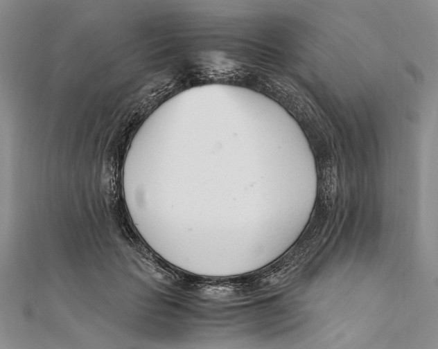 X0000111390653200908071257