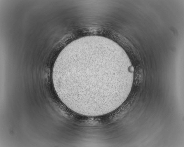 X0000111390656200908071257