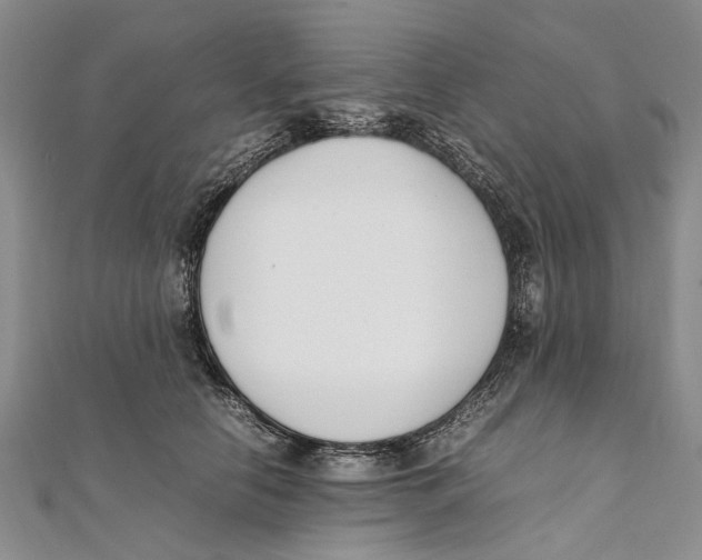 X0000111390658200908071257