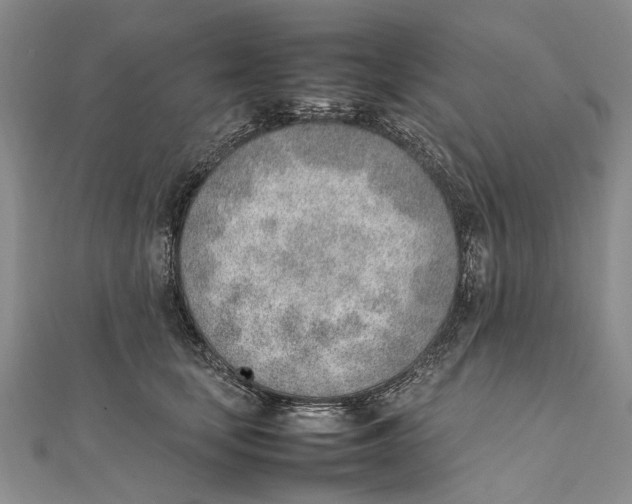 X0000111390659200908071257