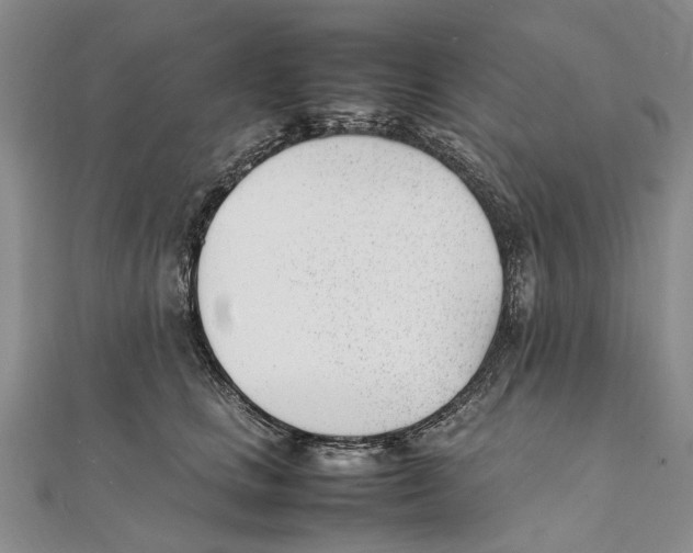 X0000111390661200908071257