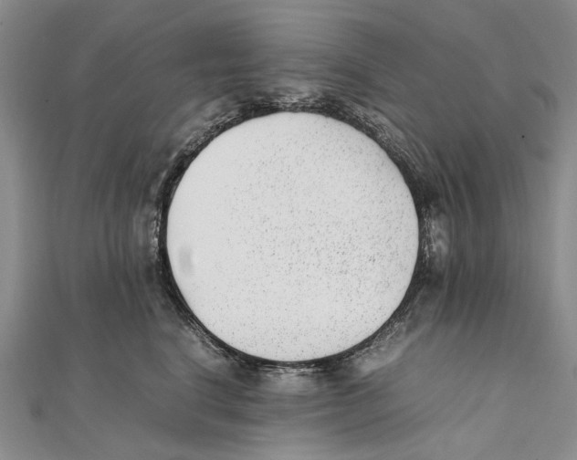 X0000111390664200908071257