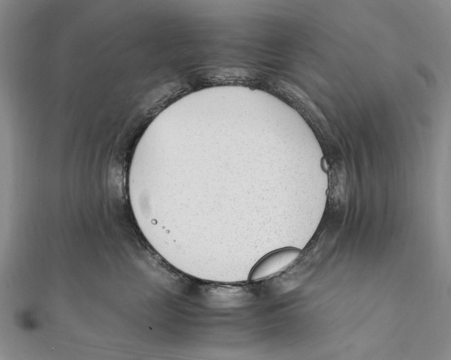 X0000111390669200908071257