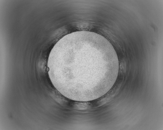 X0000111390671200908071257