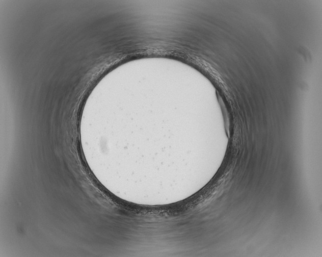 X0000111390673200908071256