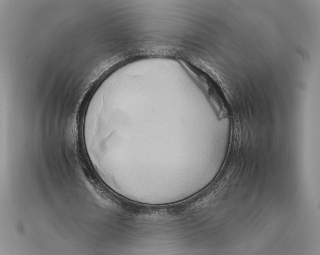 X0000111390674200908071256