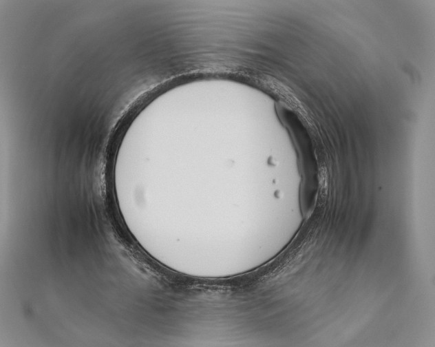 X0000111390676200908071256