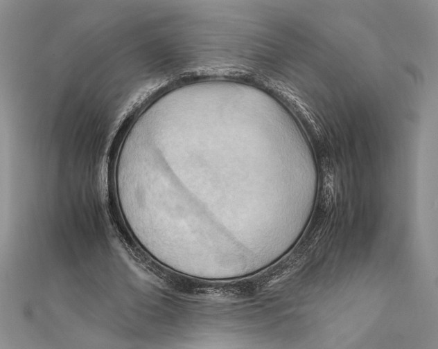 X0000111390678200908071256