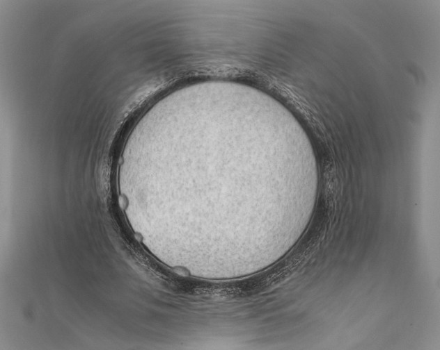 X0000111390679200908071256