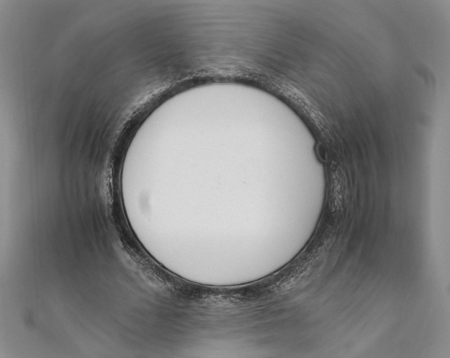 X0000111390680200908071256