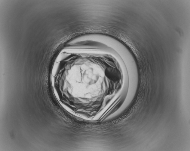X0000111390681200908071256