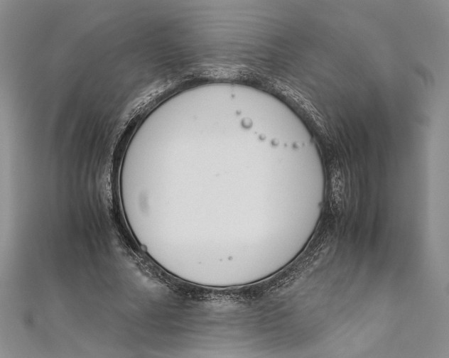 X0000111390682200908071256