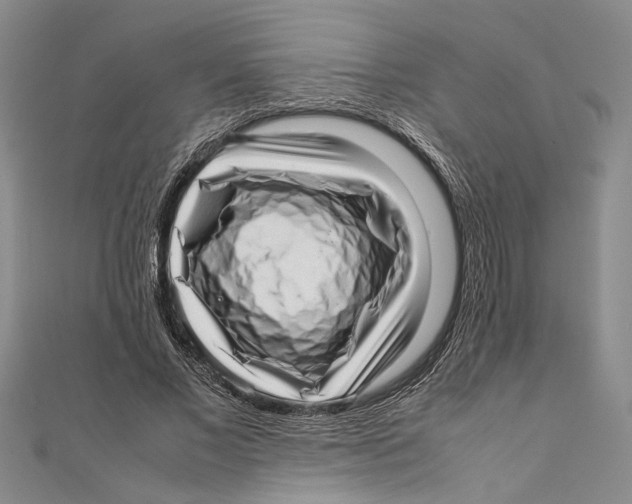 X0000111390685200908071256
