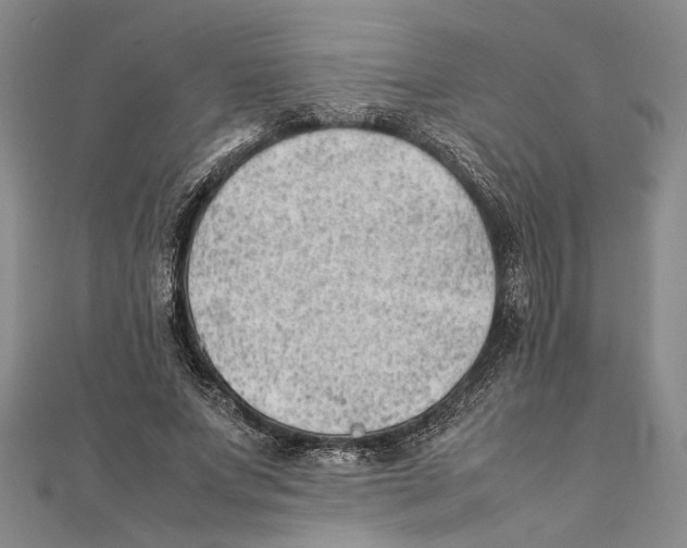 X0000111390687200908071256
