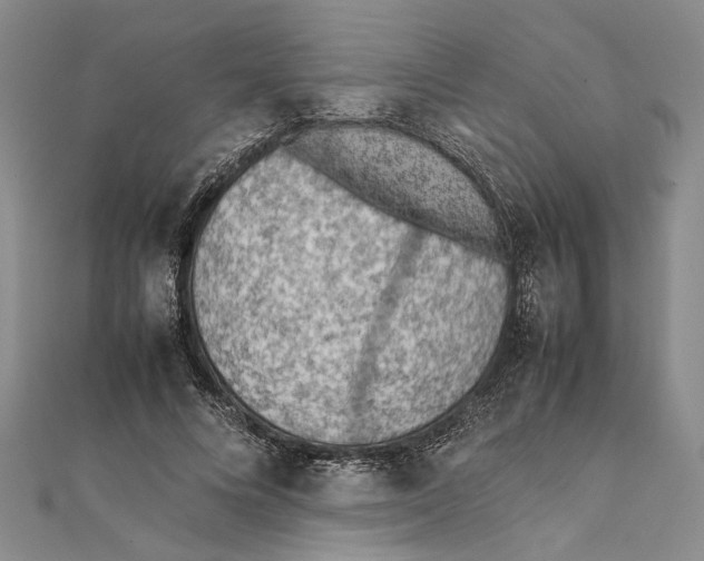 X0000111390688200908071256