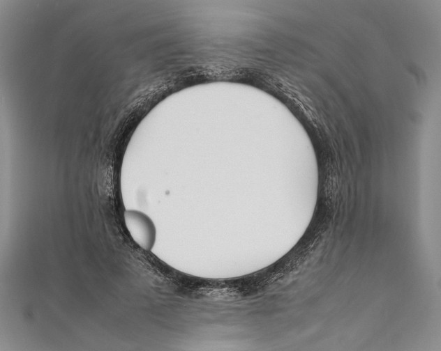 X0000111390689200908071256