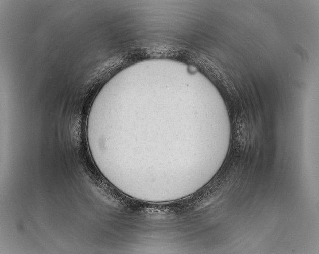 X0000111390690200908071256