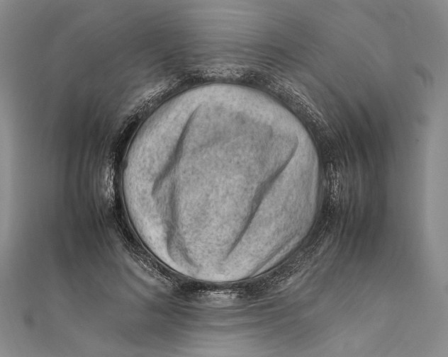 X0000111390692200908071256