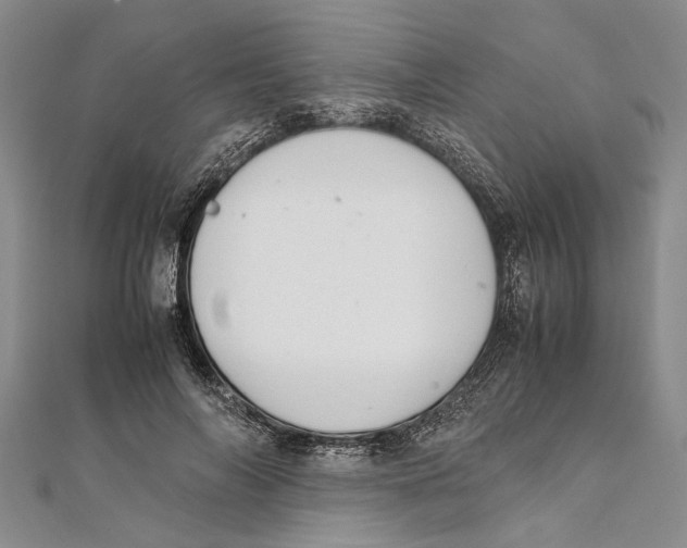 X0000111390694200908071256