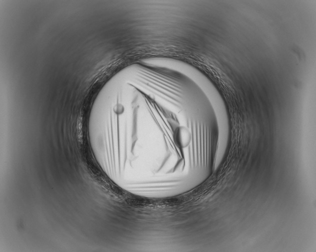 X0000111390696200908071256