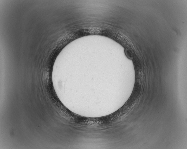 X0000111390697200908071256