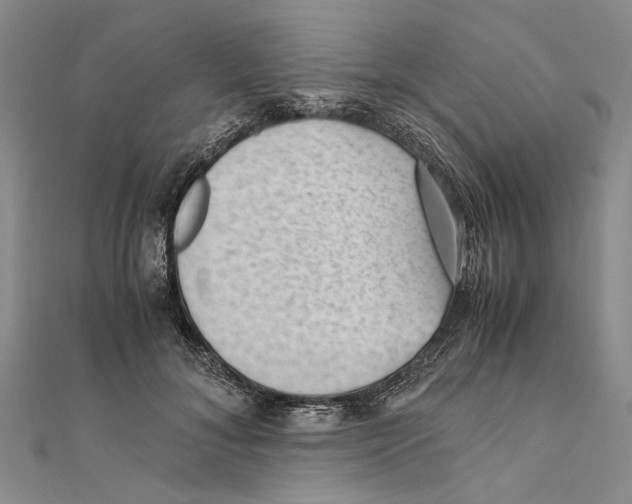 X0000111390700200908071256