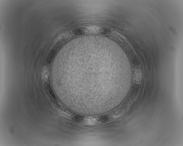 X0000111390701200908071256