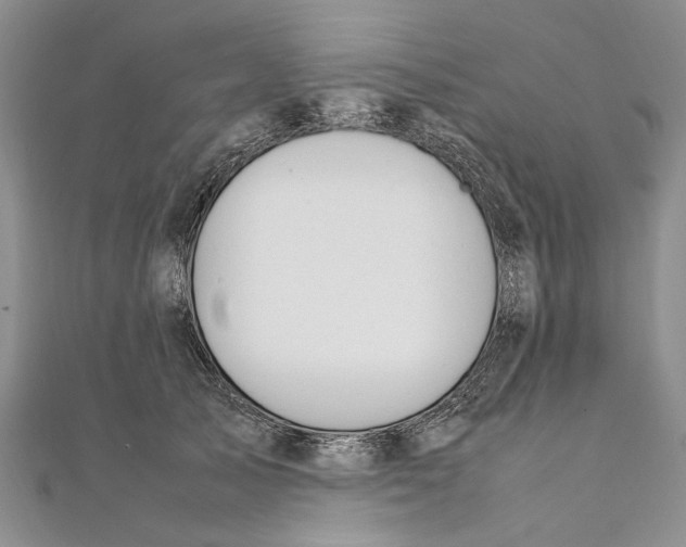 X0000111390705200908071256