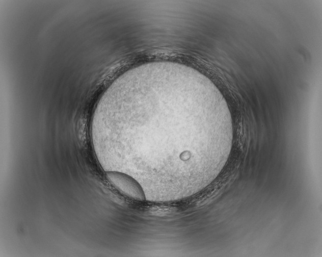 X0000111390708200908071256