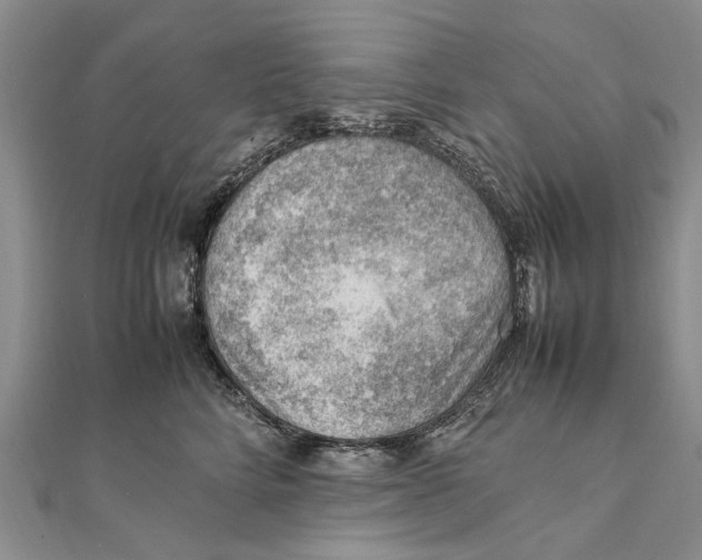 X0000111390712200908071256