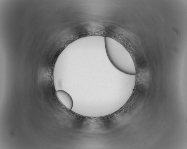 X0000111390713200908071255
