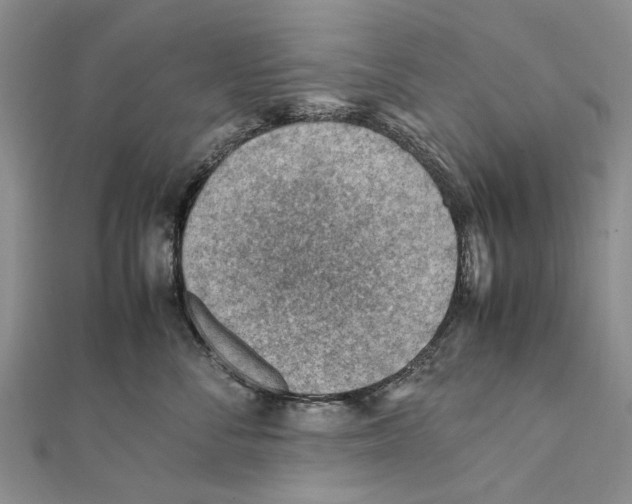 X0000111390716200908071255