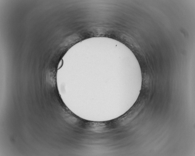 X0000111390719200908071255