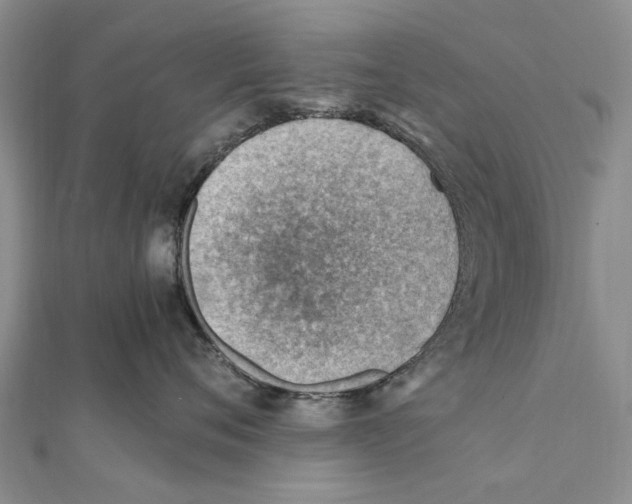 X0000111390720200908071255