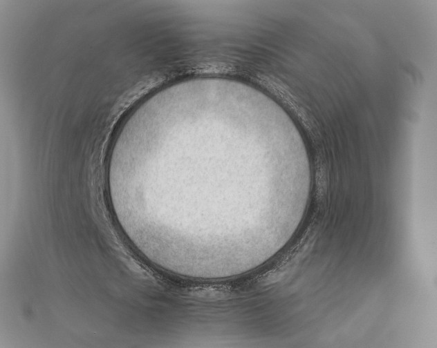 X0000111390721200908071255