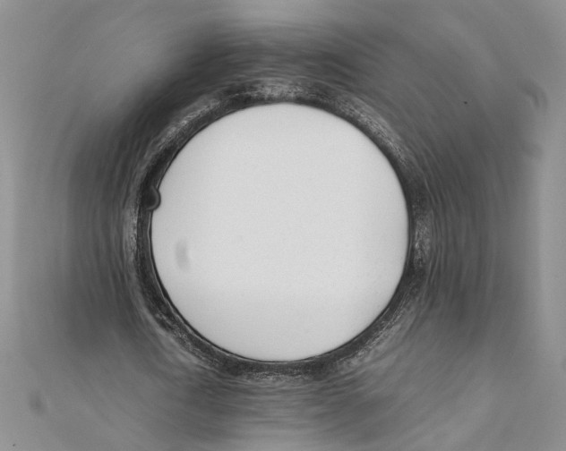 X0000111390722200908071255