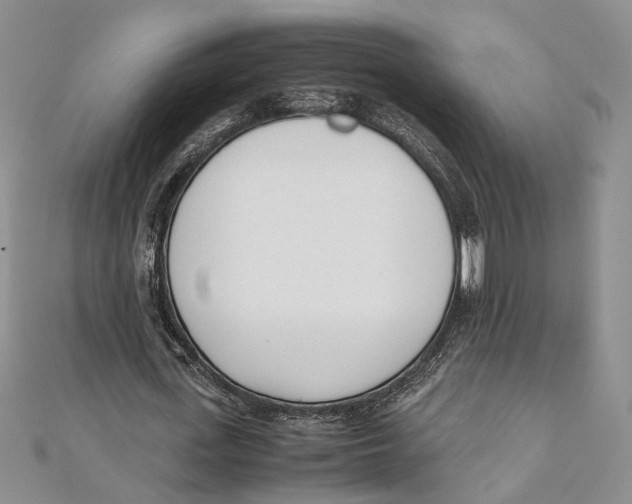 X0000111390723200908071255
