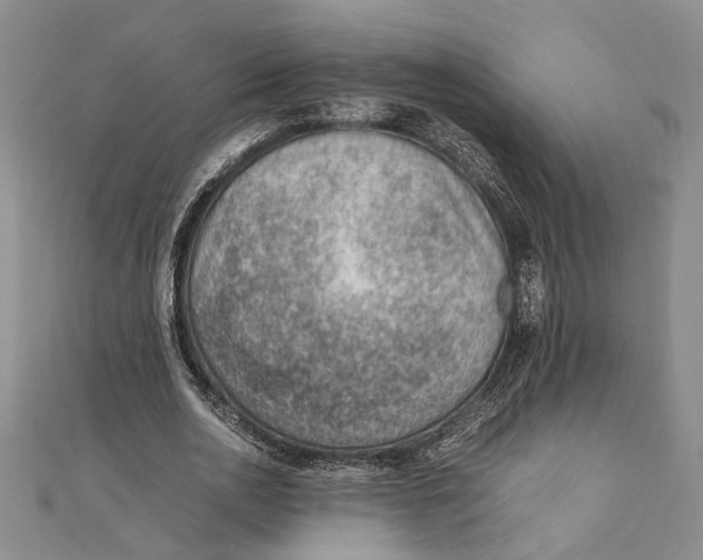 X0000111390726200908071255
