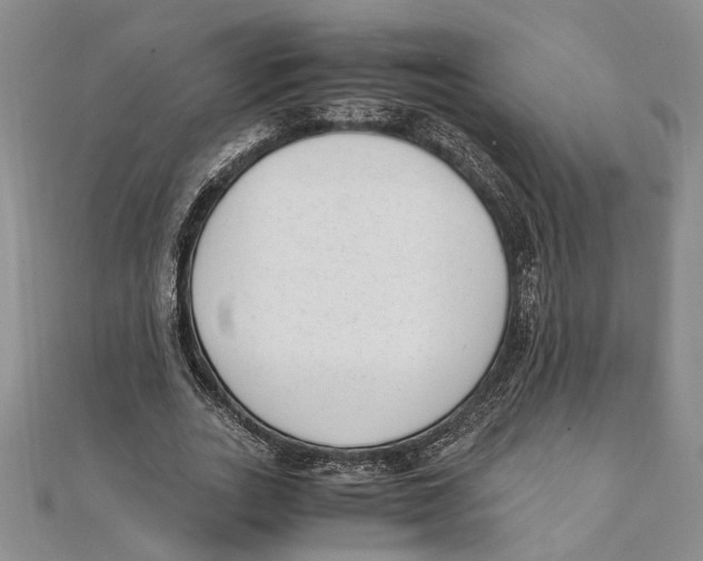 X0000111390727200908071255