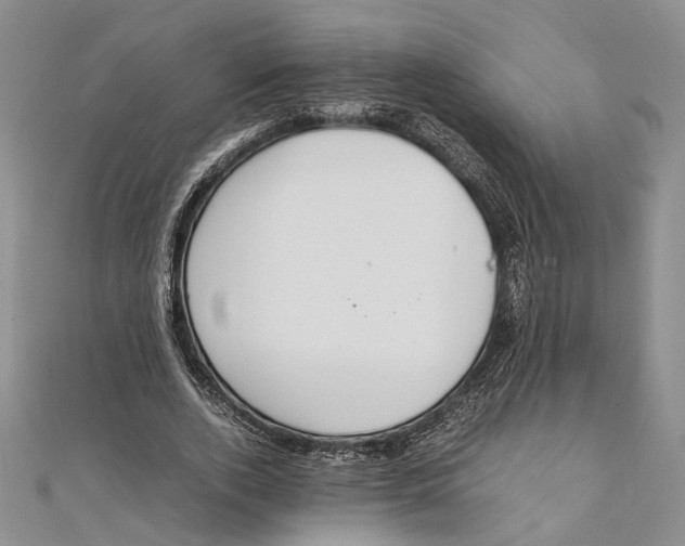 X0000111390728200908071255