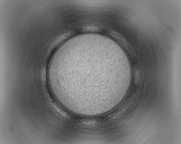 X0000111390729200908071255