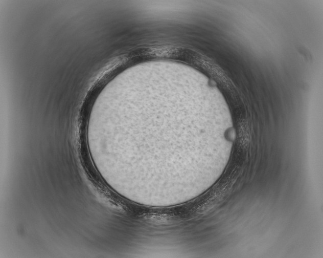 X0000111390730200908071255