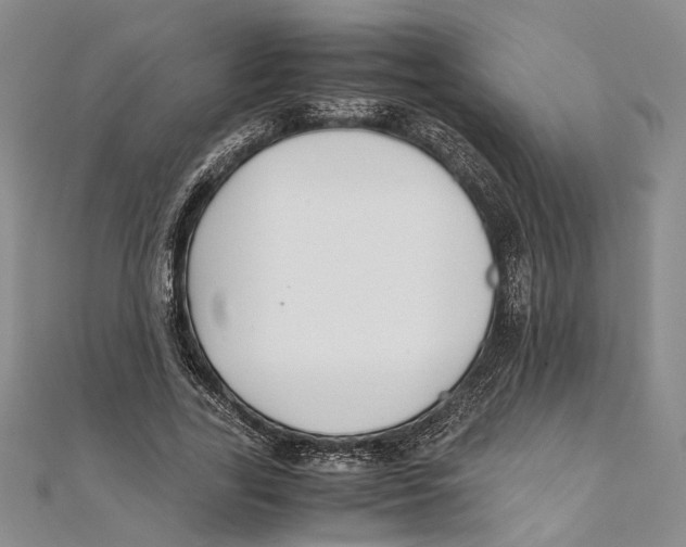 X0000111390731200908071255
