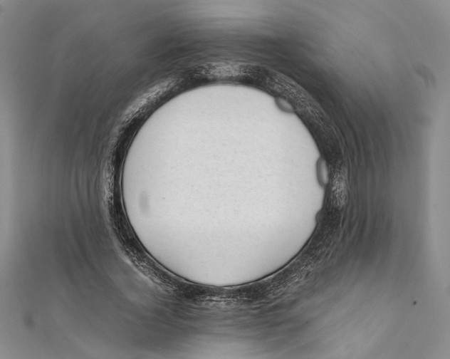 X0000111390732200908071255