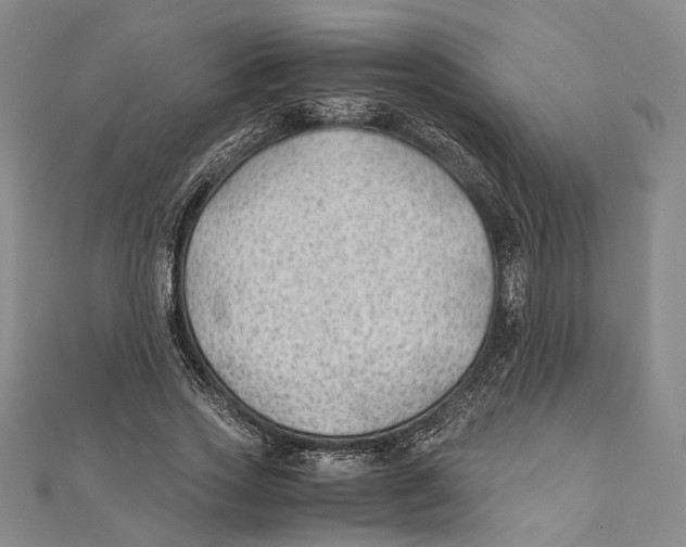 X0000111390733200908071255