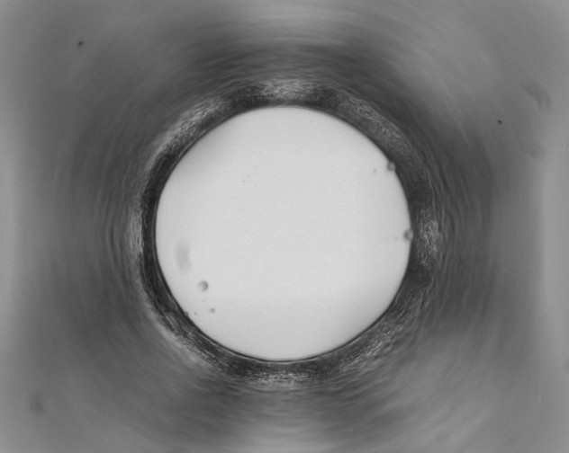 X0000111390734200908071255