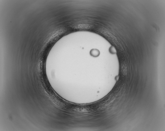 X0000111390735200908071255